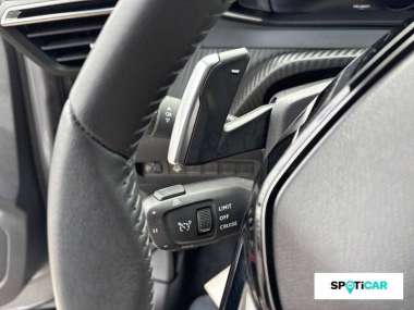 Peugeot 2008 (2) Hybride